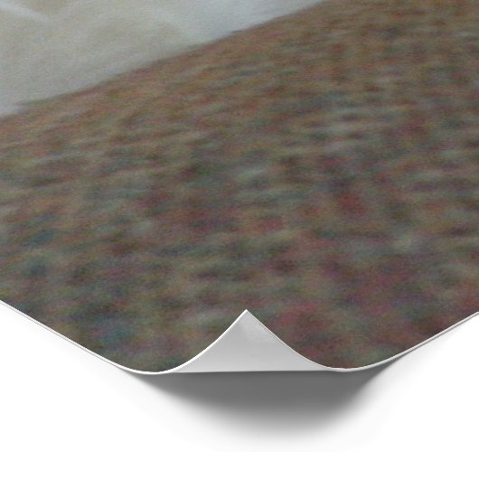 Slaapkop Poster (Hoek)