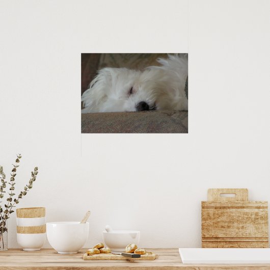 Slaapkop Poster (Keuken)