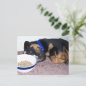 slaapkop rottweiler. briefkaart (Staand voorkant)