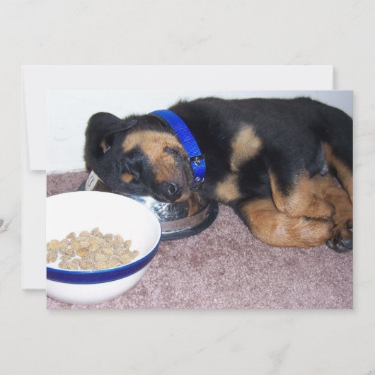 slaapkop rottweiler kaart (Voorkant)