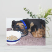 slaapkop rottweiler kaart (Staand voorkant)