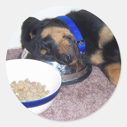 slaapkop rottweiler ronde sticker (Voorkant)