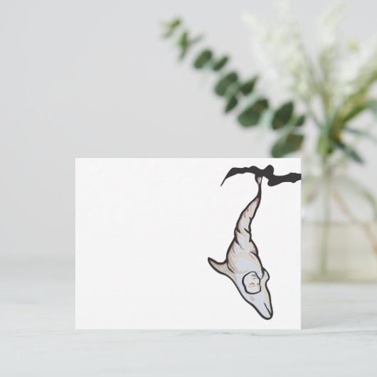 slaapkopdolfijnencoon briefkaart (Staand voorkant)