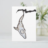 slaapkopdolfijnencoon kaart (Staand voorkant)