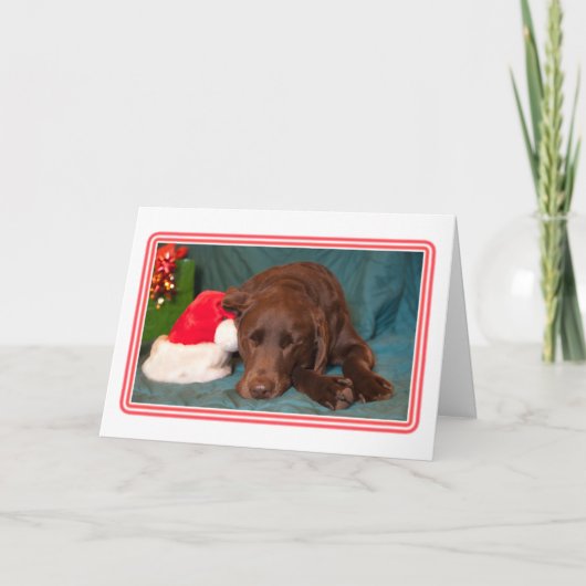 Slaaplabrador met kerstmuts foto feestdagen kaart (Voorkant)