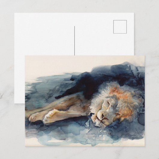 slaapleeuw briefkaart (Voorkant / Achterkant)