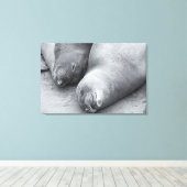 Slaapmaatjes Canvas Afdruk (Insitu (Houten vloer))