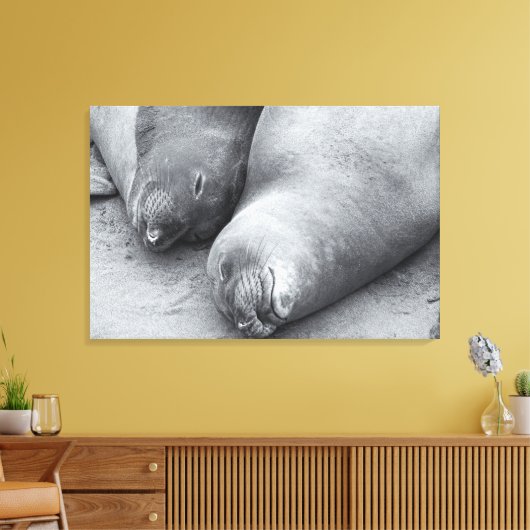 Slaapmaatjes Canvas Afdruk (Insitu (Woonkamer))