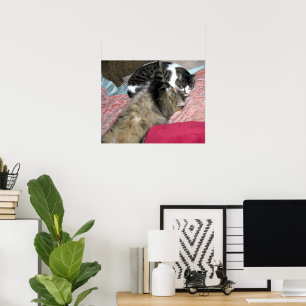 Slaapmaatjes Poster