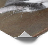 Slaapmaincoatkat Poster (Hoek)