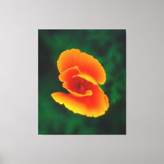 Slaapmutsje Canvas Afdruk (Voorkant)