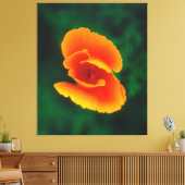 Slaapmutsje Canvas Afdruk (Insitu (Woonkamer))