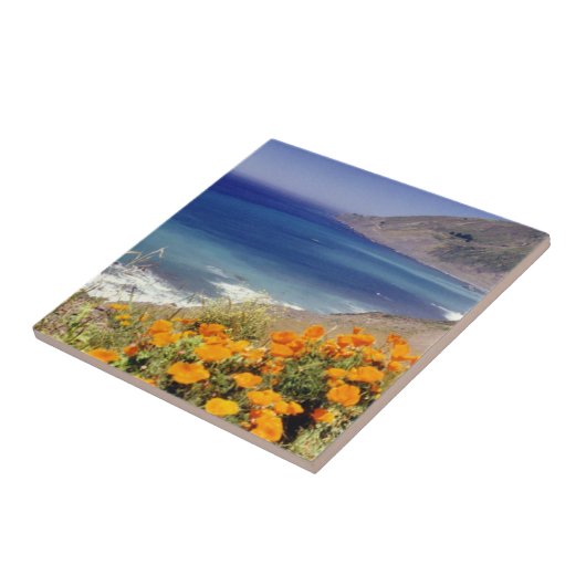 Slaapmutsjes Tegeltje (Zijkant)