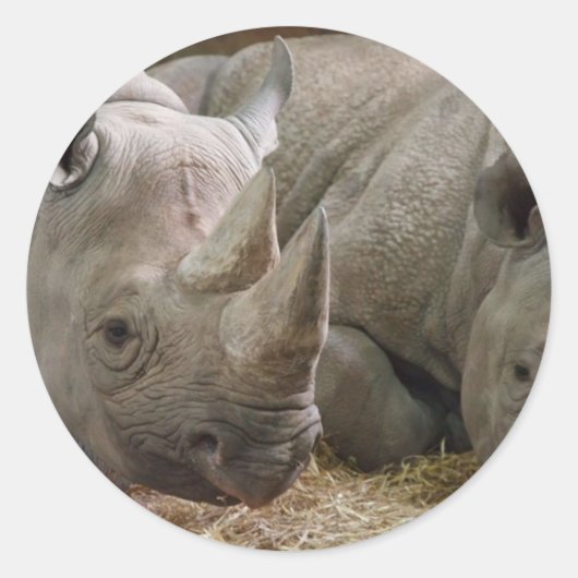 Slaapneushoorns Stickers (Voorkant)