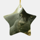 Slaappanter Keramisch Ornament (Achterkant)