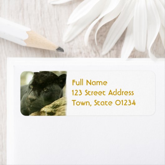 Slaappanter Mailing Label (Insitu)