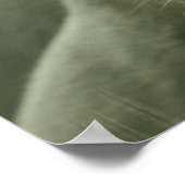 SlaappanterPoster Poster (Hoek)