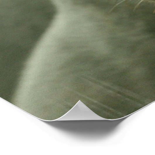 SlaappanterPoster Poster (Hoek)