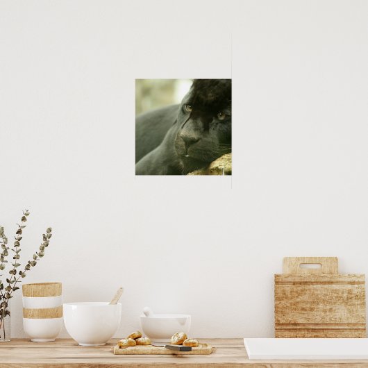 SlaappanterPoster Poster (Keuken)