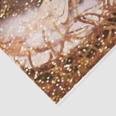 slaappelpapier tissuepapier (Detail)