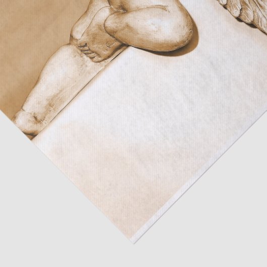 slaappelpapier tissuepapier (Detail)