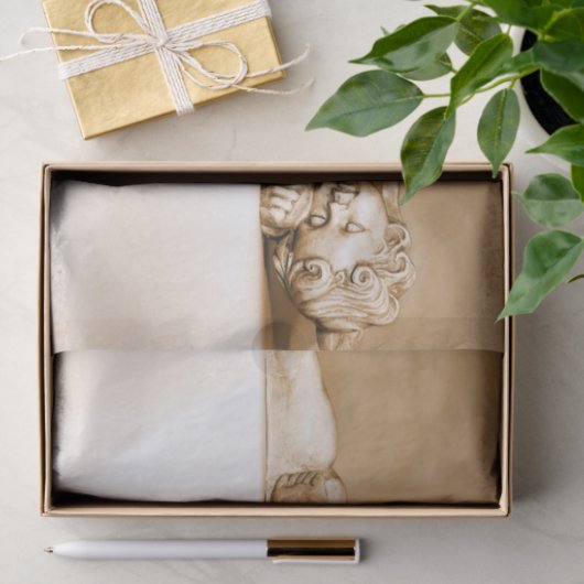 slaappelpapier tissuepapier (Geschenk)