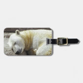 Slaappolair Beer Bagagelabel (Voorkant horizontaal)