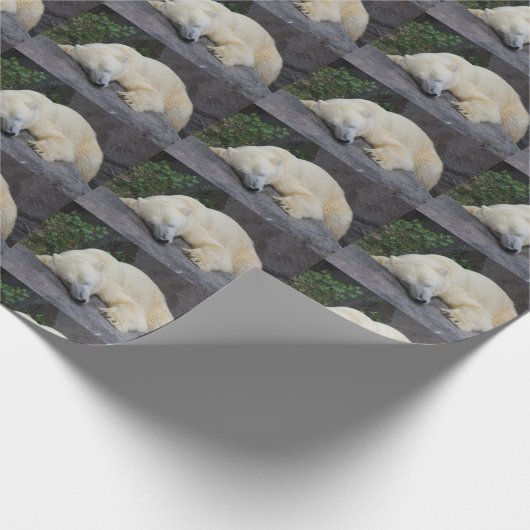 Slaappolair Beer Cadeaupapier (Hoek)