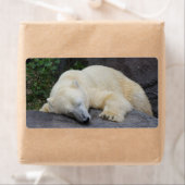 Slaappolair Beer Etiket (Insitu)