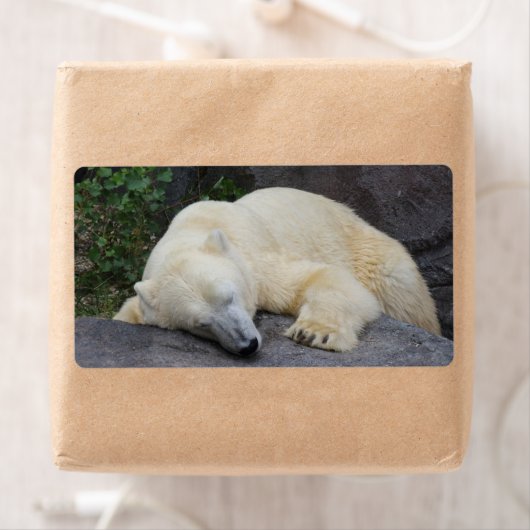 Slaappolair Beer Etiket (Insitu)