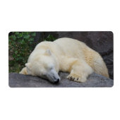 Slaappolair Beer Etiket (Voorkant)