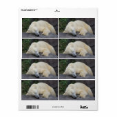 Slaappolair Beer Etiket (Full Sheet)