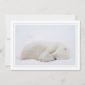 Slaappolair Beer Feestdagenkaart (Voorkant)