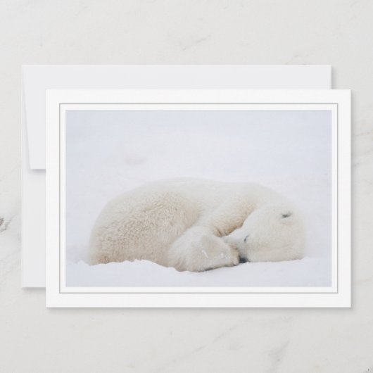 Slaappolair Beer Feestdagenkaart (Voorkant)