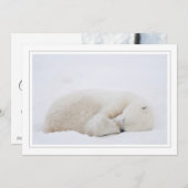 Slaappolair Beer Feestdagenkaart (Voorkant / Achterkant)