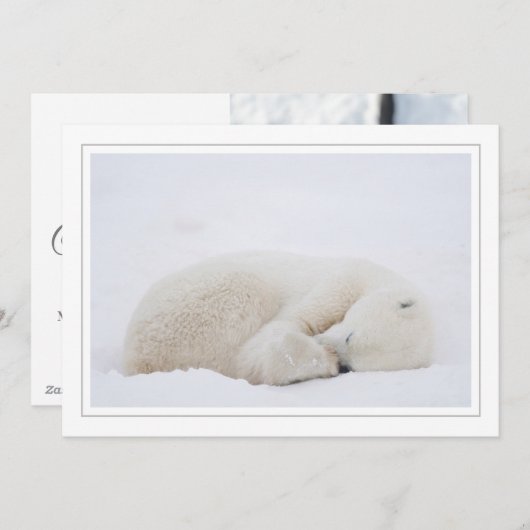 Slaappolair Beer Feestdagenkaart (Voorkant / Achterkant)