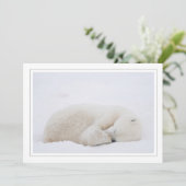 Slaappolair Beer Feestdagenkaart (Staand voorkant)