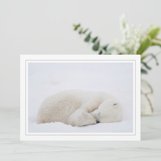 Slaappolair Beer Feestdagenkaart (Staand voorkant)