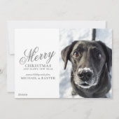 Slaappolair Beer Feestdagenkaart (Achterkant)