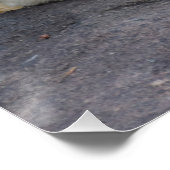 Slaappolair Beer Perfect Poster (Hoek)