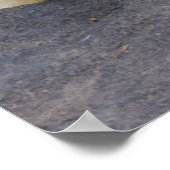 Slaappolair Beer Poster (Hoek)