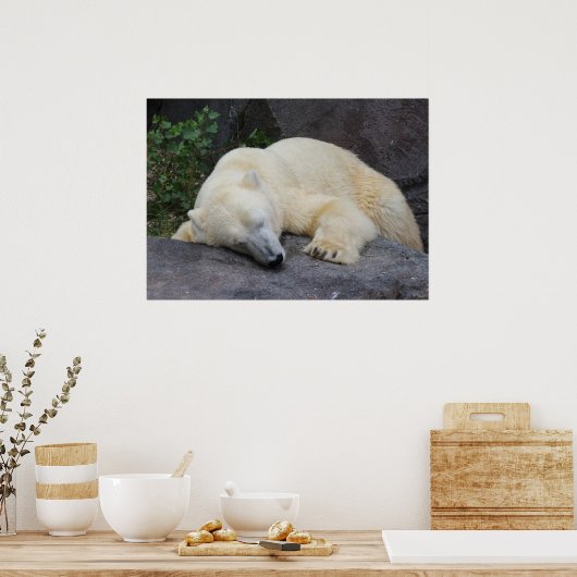 Slaappolair Beer Poster (Keuken)