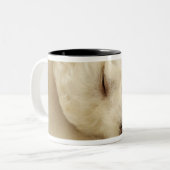 Slaappupil Tweekleurige Koffiemok (Voorkant links)