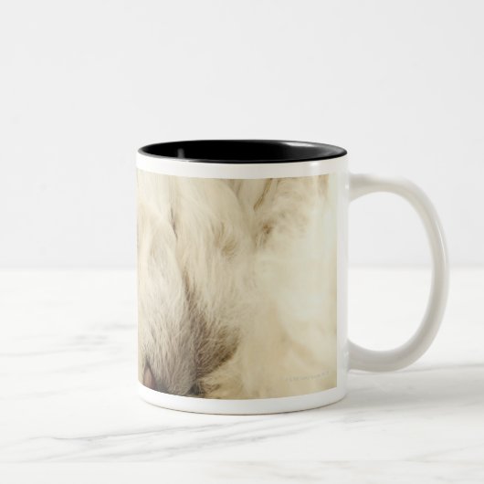 Slaappupil Tweekleurige Koffiemok (Rechts)