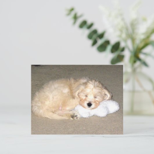 Slaappuppy Briefkaart (Staand voorkant)