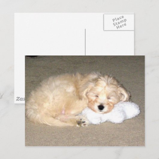 Slaappuppy Briefkaart (Voorkant / Achterkant)