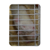 Slaapratten Flexi Magnet Magneet (Verticaal)