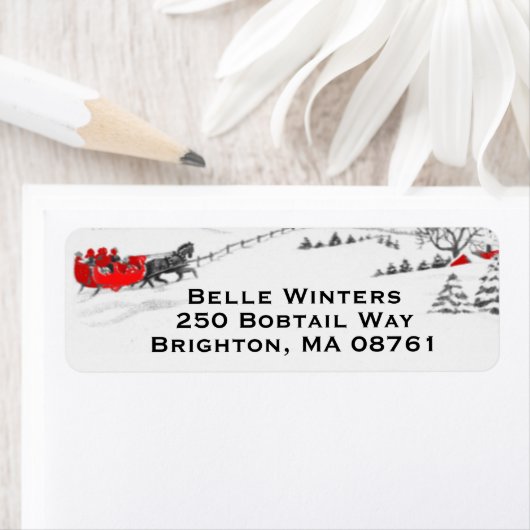  Slaapride-kerstlabel Etiket (Insitu)