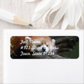 Slaaprood Panda retouradres Mailing Label (Insitu)