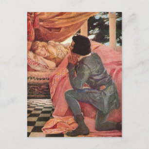  slaapschoonheid van Jessie Willcox Smith Briefkaart